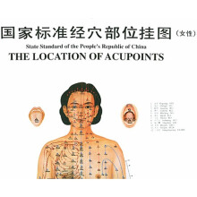 国家标准经穴部位挂图(女性)(共3张)(附说明书)