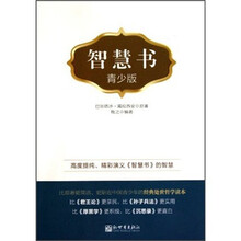 智慧书（青少版）