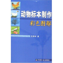 动物标本制作彩色图解