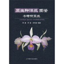 原生种洋兰图鉴:卡特丽亚兰