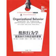高等院校双语教学适用教材·萨里经济管理英文教材：提高执行力和忠诚的要素（组织行为学）