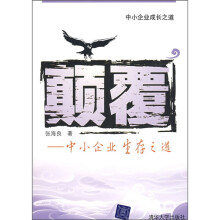 颠覆：中小企业成长之道