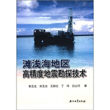 滩浅海地区高精度地震勘探技术