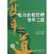 电力企业管理变革之道：发电企业