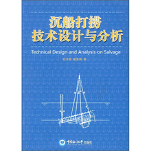 沉船打捞技术设计与分析