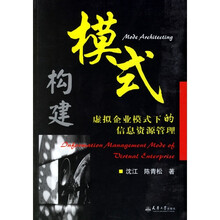 模式构建：虚拟企业模式下的信息资源管理