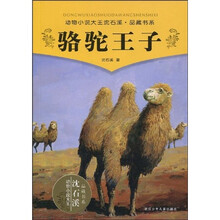 动物小说大王沈石溪品藏书系：骆驼王子