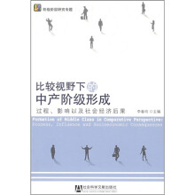 比较视野下的中产阶级形成：过程、影响以及社会经济后果