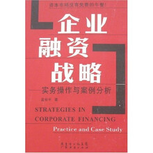 企业融资战略：实务操作与案例分析