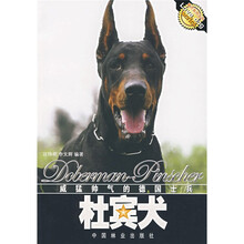 杜宾犬