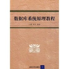 高等院校信息管理与信息系统专业系列教材：数据库系统原理教程