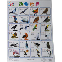 阳光宝贝大挂图：动物世界