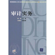 高职高专工作过程导向新理念规划教材·财经系列：审计实务