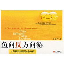 鱼向反方向游：从草根到名星的6条路径