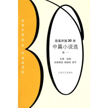改革开放30年中篇小说选(卷1)