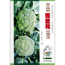 图文精解西蓝花种植技术