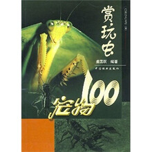 宠物100：赏玩虫