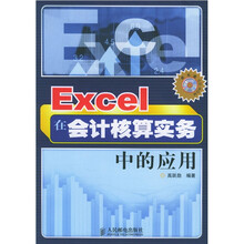 Excel在会计核算实务中的应用(附光盘)