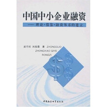中国中小企业融资：理论·借鉴·融资体系的建立