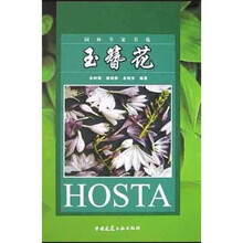 玉簪花