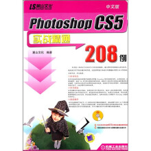 中文版Photoshop CS5实战精通208例(附DVD光盘2张)
