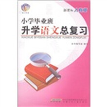 金钥匙练习书系:小学毕业班升学语文总复习(新课标人教版)