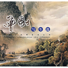 中国山水画技法丛书:曾刚写生选