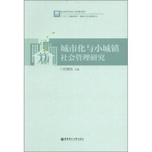 城市化与小城镇社会管理研究