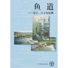 鱼道:设计、尺寸及监测