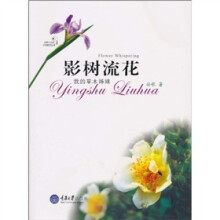影树流花：我的草木姊妹