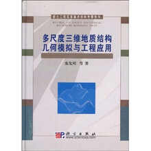 多尺度三维地质结构几何模拟与工程应用