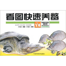 看图快速养鳖