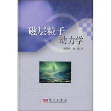 磁层粒子动力学