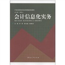 21世纪高职高专经济管理类规划教材：会计信息化实务