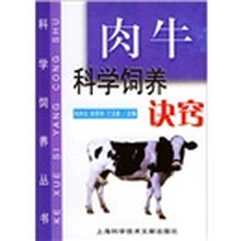 肉牛科学饲养诀窍