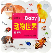 健康宝宝双语启蒙：动物世界