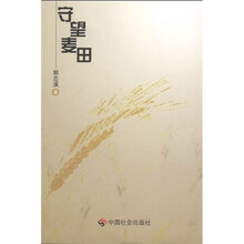 守望麦田