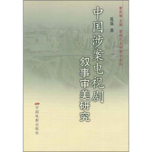 中国涉案电视剧叙事审美研究