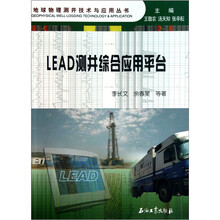 地球物理测井技术与应用丛书：LEAD测井综合应用平台