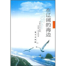 在辽阔的海边