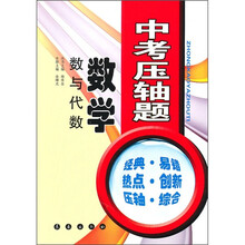 中考压轴题·数学:数与代数