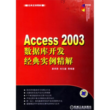 经典实例精解：Access2003数据库开发经典实例精解（附光盘）