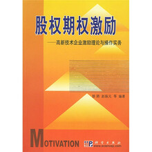 股权期权激励：高新技术企业激励理论与操作实务