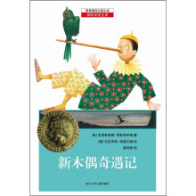 耕林精选大奖小说：新木偶奇遇记