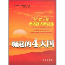 30亿人的市场经济新机遇：崛起的4大国