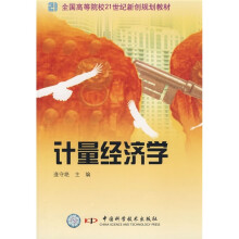全国高等院校21世纪新创规规划教材：计量经济学