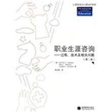 职业生涯咨询：过程技术及相关问题（第2版）