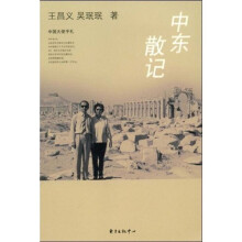 中国大使手札：中东散记