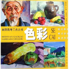美院高考三点丛书：色彩