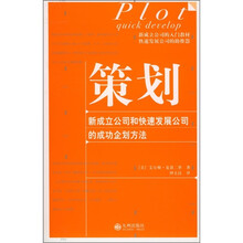策划：新成立公司和快速发展公司的成功企划方法